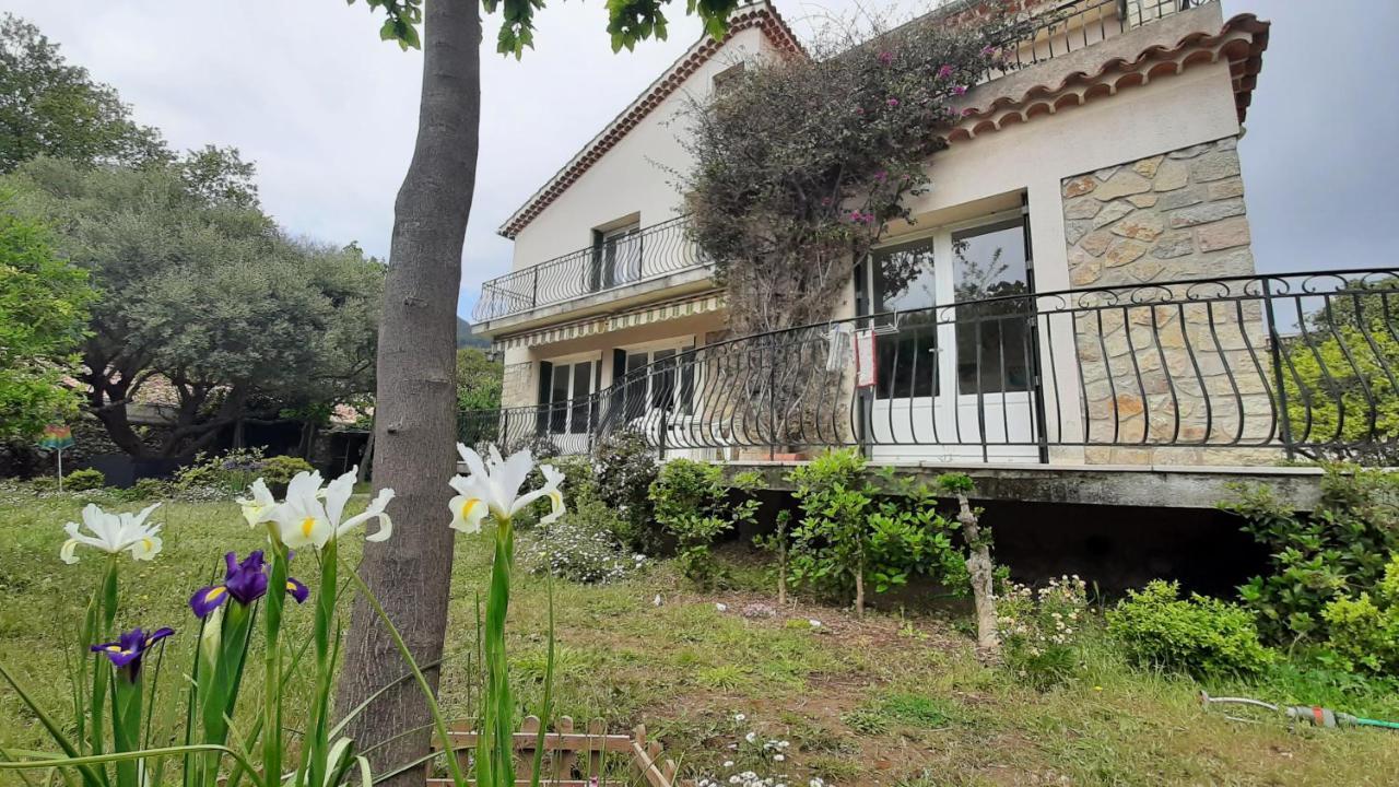 Maison Lumineuse Et Spacieuse Avec Jardin Arbore Ла-Валетт-дю-Вар Екстер'єр фото