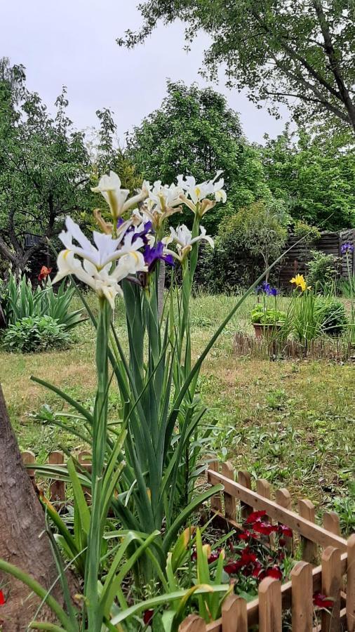 Maison Lumineuse Et Spacieuse Avec Jardin Arbore Ла-Валетт-дю-Вар Екстер'єр фото